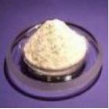 Ampicillin Sodium 